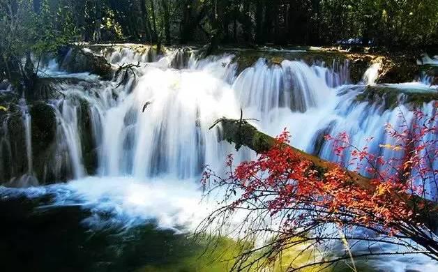 异械危机
